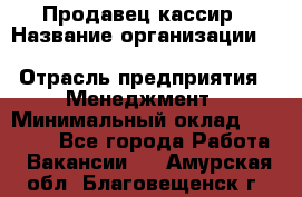 Продавец-кассир › Название организации ­ Southern Fried Chicken › Отрасль предприятия ­ Менеджмент › Минимальный оклад ­ 40 000 - Все города Работа » Вакансии   . Амурская обл.,Благовещенск г.